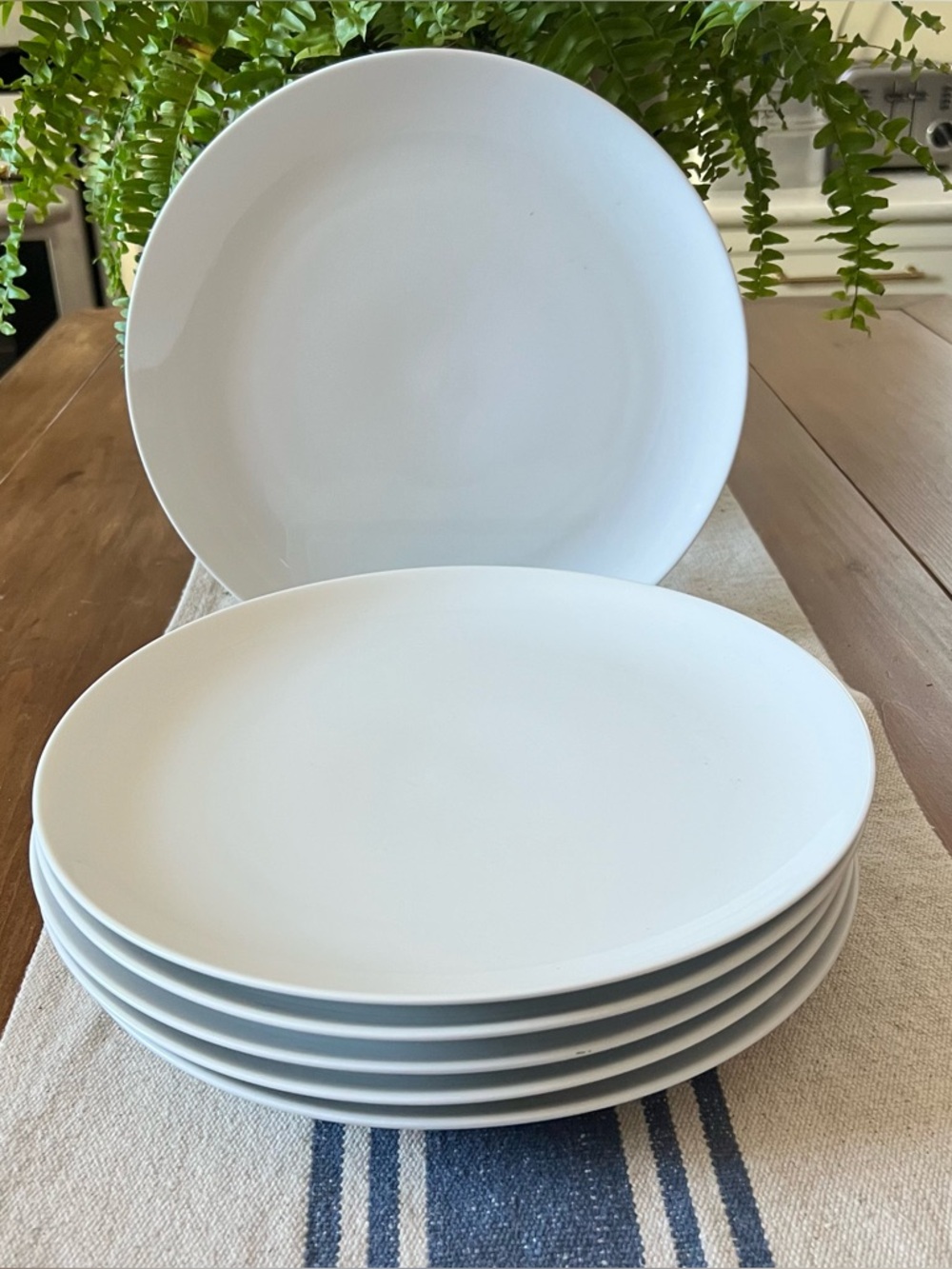 6 Crate & Barrel Round White Coupe Dinner Plates 11.5”